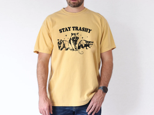 Stay Trashy Shirt, Retro Funny Graphic Tees, Racoon Shirt, Meme Graphic T-Shirt, Raccoon Lover Gift, Funny Graphic Shirt, Meme Graphic Tees